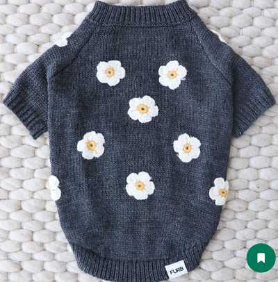 Petal Perfect Grey Daisy Dog Sweater
