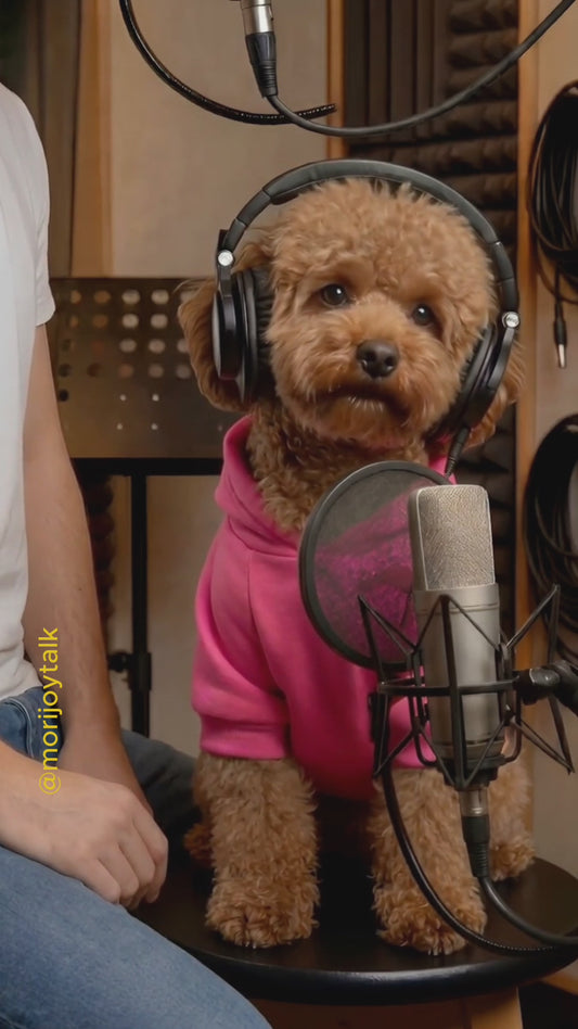 Custom Lipsync Video (One PET)
