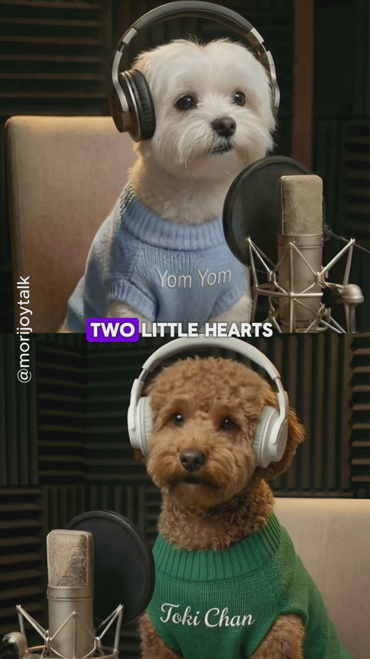 Custom Lipsync Video (Two Pets)