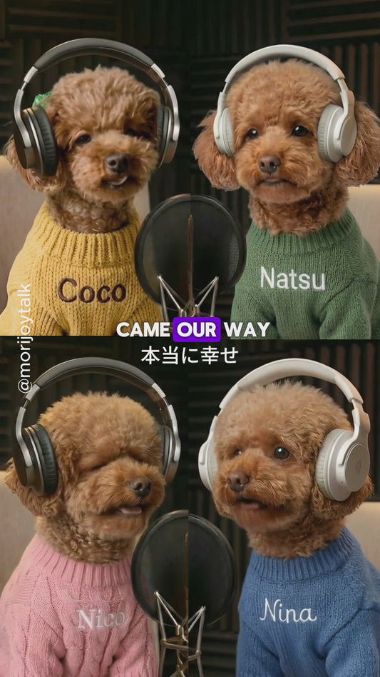 Custom Lipsync Video (Four Pets)