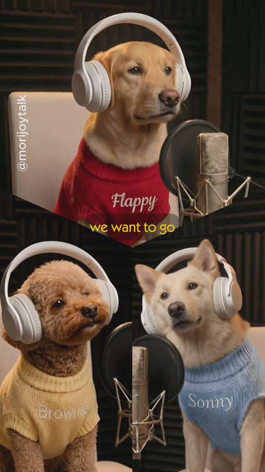 Custom Lipsync Video (Three Pets)